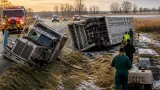 Semi rollover in Fayette County leaves livestock euthanized, truck and trailer totaled