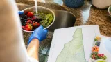 Two cases of cyclosporiasis confirmed in New Hampshire as CDC tracks outbreak