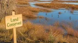 Utah inland port authority puts $2.5M toward buying shoreline land to protect Great Salt Lake