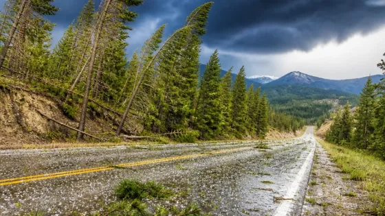 Severe thunderstorms expected across western and central Montana with strong winds, hail