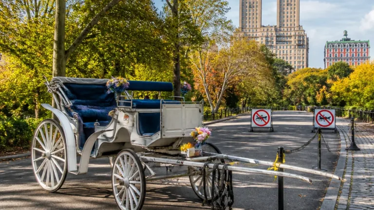 City Council votes to end horse‑drawn carriages by June 1, 2028